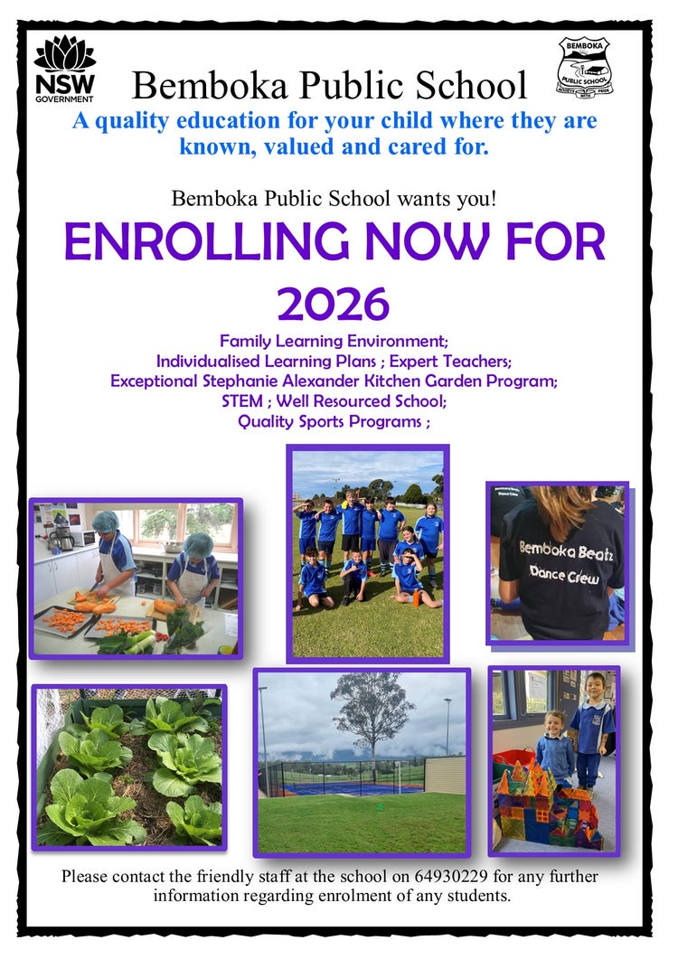 kindy transition flyer