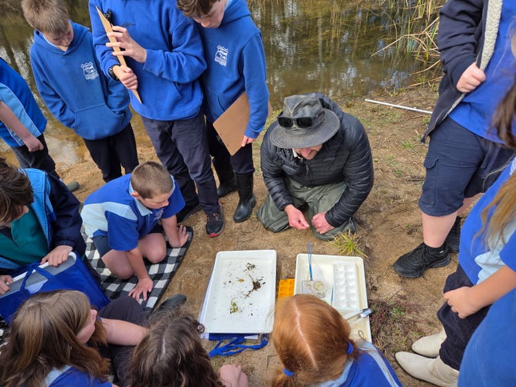 students standing around teacher explaining the bugs found in the creek